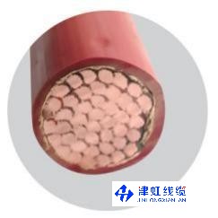 氟塑料绝缘耐高温电力电缆