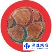 变频器用耐高温电缆